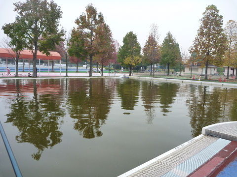 リハビリ釣行 In加須はなさき水上公園 C調パラダイス