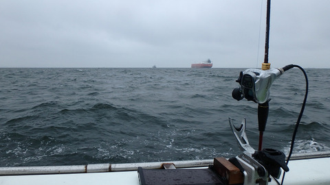 resize8606