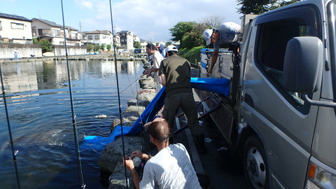 resize8903