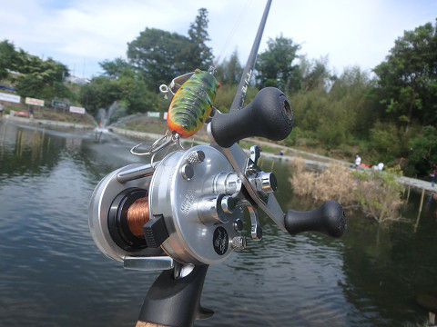 希少 ストレート ロッド グリップ トップウォーター うらしま堂 希少 ストレート ロッド グリップ トップウォーター うらしま堂