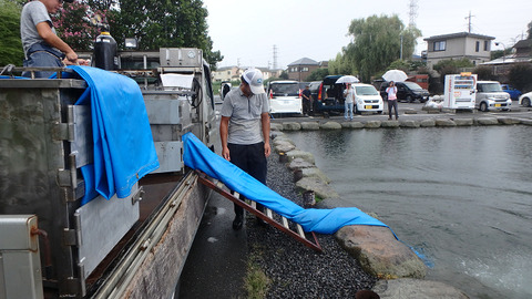 resize8916