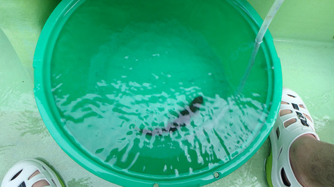 resize8525