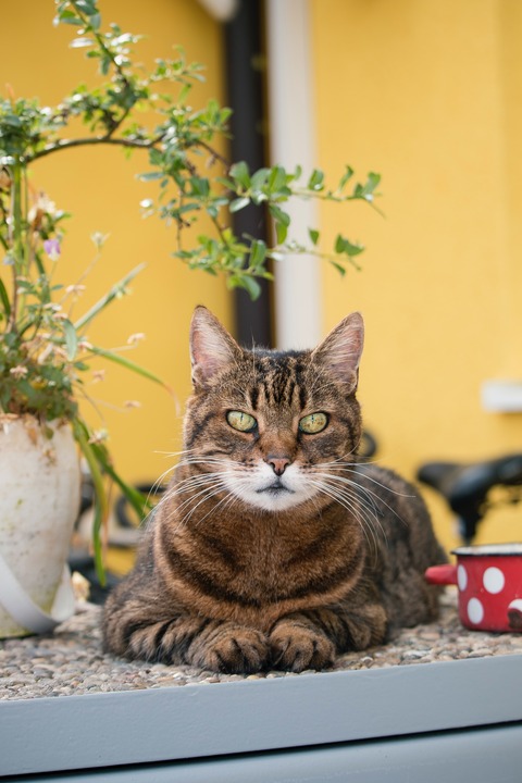 2daniela-kalwarowskyj-bbwJ4lbS4Fc-unsplash