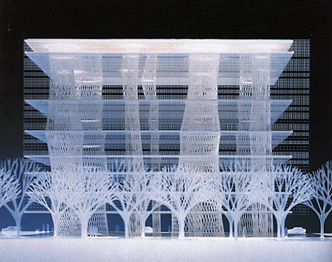 3D_11