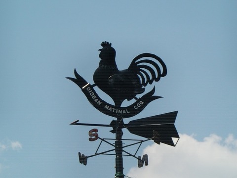 kazamidori