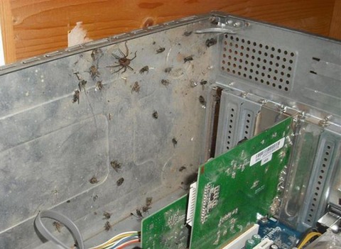 PCsigai2