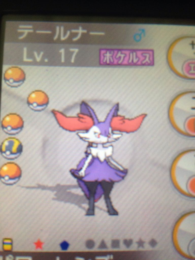 ついに ポケモン色違い奮闘記