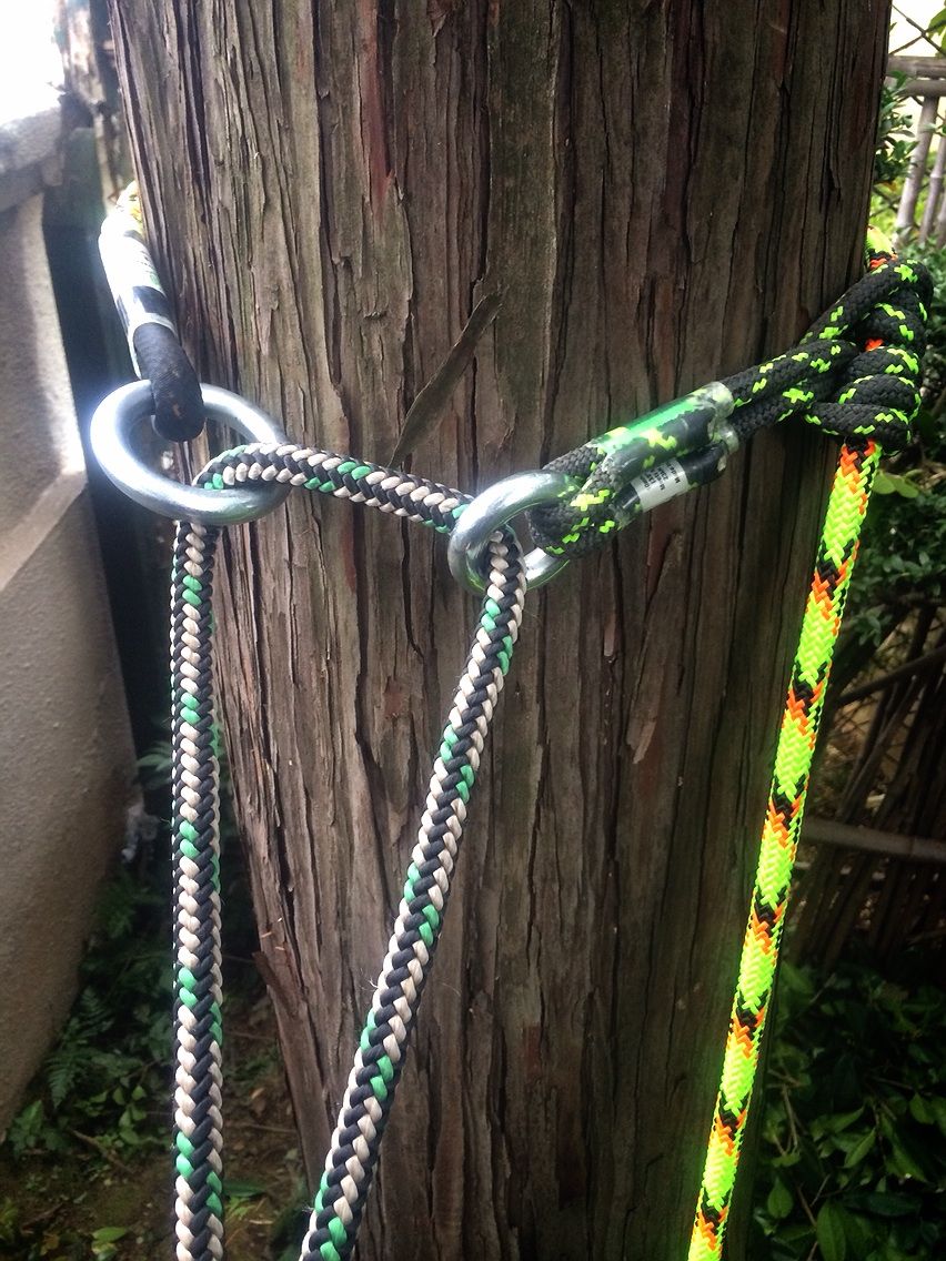 ツリークライミング 道具 アーボリストレトリーバーボール ロープ