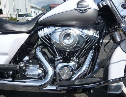 2009flhrc_19