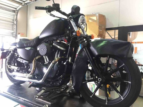 2019XL883N
