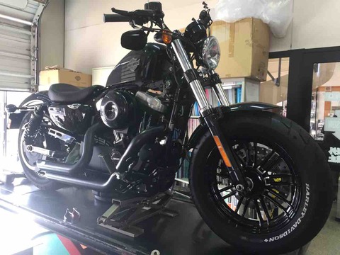 2016XL1200X