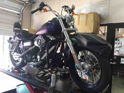2010FXDB