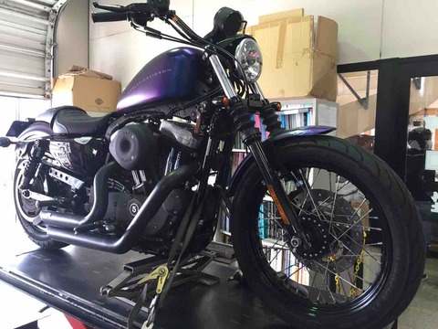 2010XL1200N