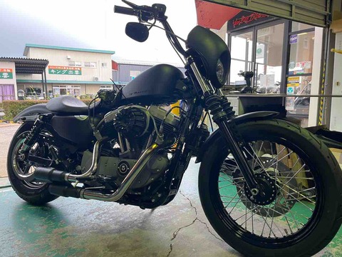 2012XL1200N