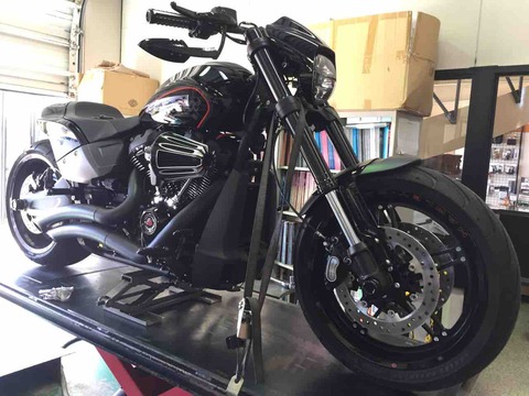 2019FXDRS