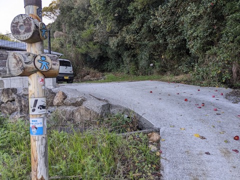 PXL_20240330_235637414