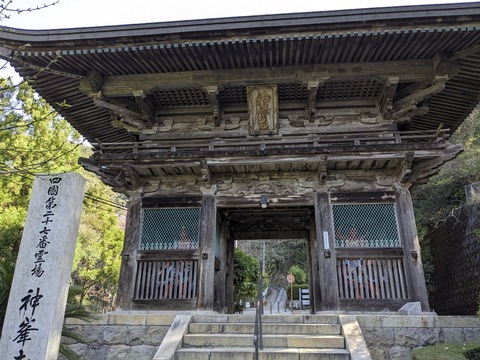 PXL_20240329_235855075