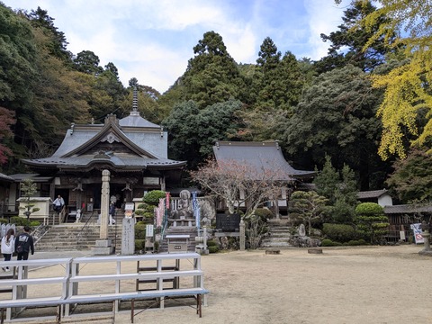 PXL_20241109_063647994