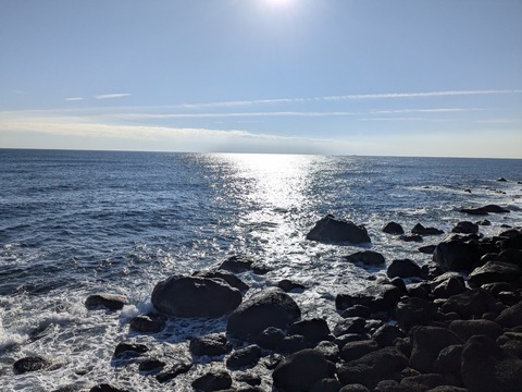 PXL_20241121_235331646