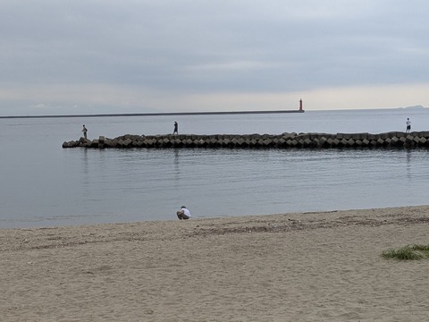 PXL_20250928_043317744