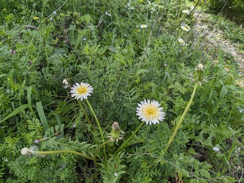 PXL_20240331_022313644