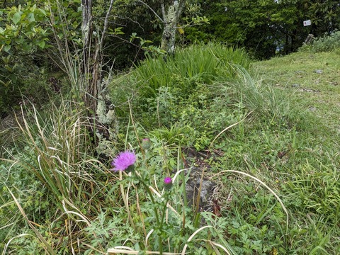 PXL_20240424_020604843