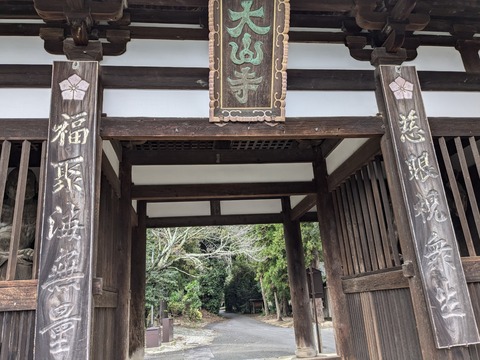 PXL_20241023_041222872