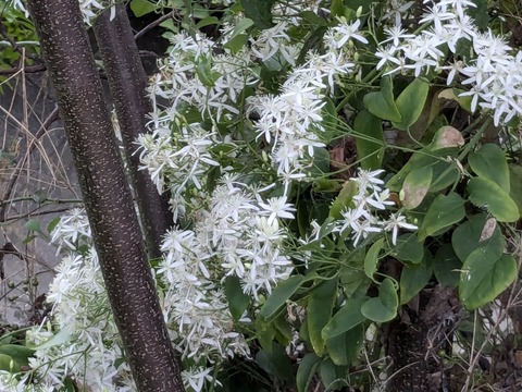 PXL_20240902_210755690