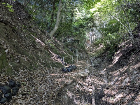 PXL_20250428_235353540