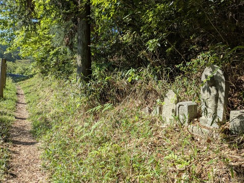 PXL_20250428_232602555