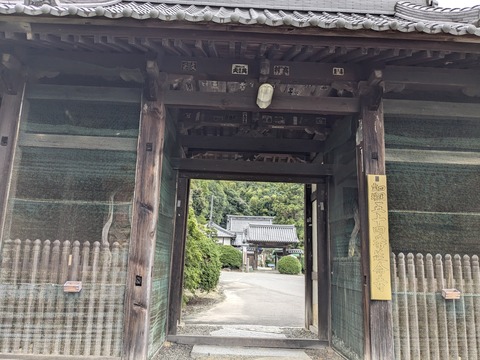 PXL_20241024_054927776