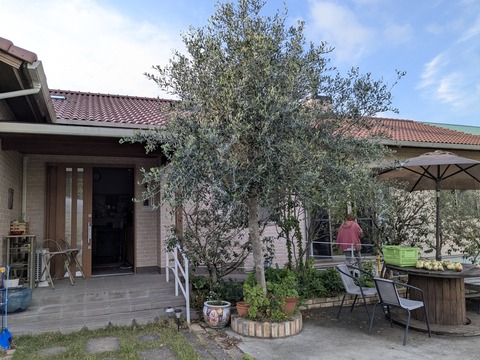 PXL_20250428_074335869