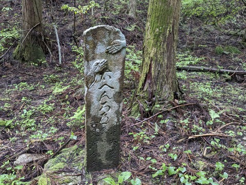 PXL_20240427_033543128