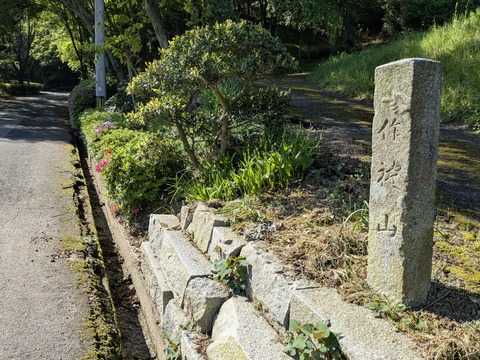 PXL_20250428_233951905