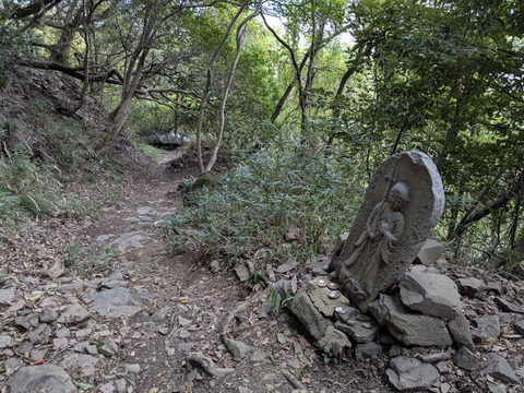 PXL_20251112_005906631