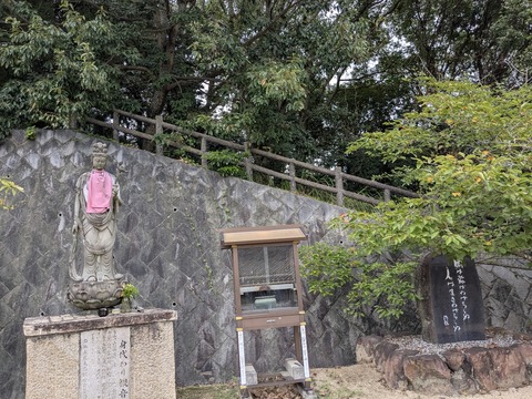 PXL_20250928_023023678