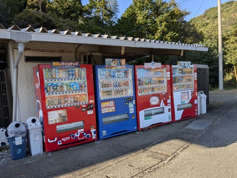 PXL_20241120_050646747