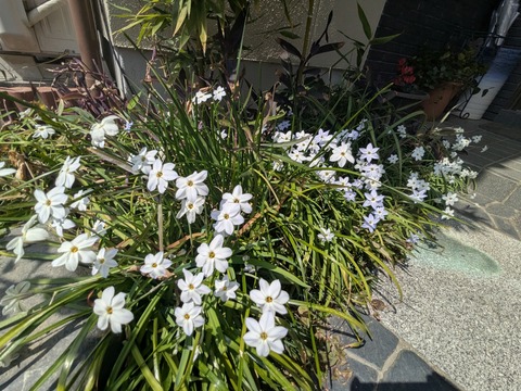 PXL_20250326_030618850