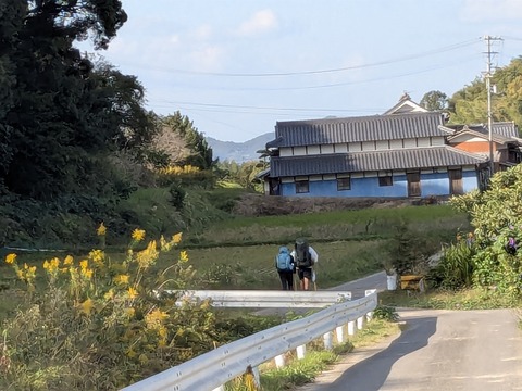 PXL_20251103_054559127