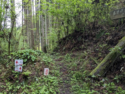 PXL_20240427_035731215