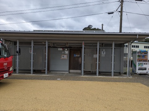 PXL_20240328_005034052