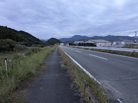 PXL_20241120_213243344