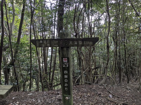 PXL_20251113_232656358