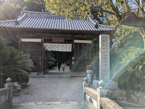 PXL_20251103_051510463