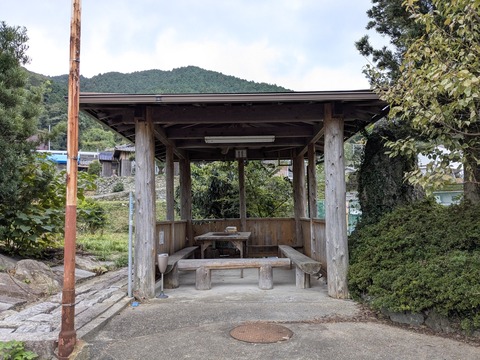 PXL_20251102_022011137