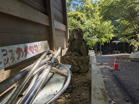 PXL_20250429_003601617