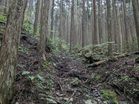 PXL_20240426_213433190