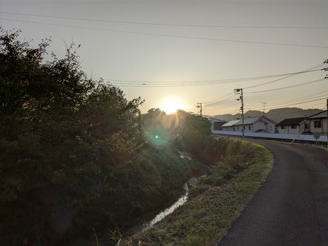 PXL_20250929_213115389