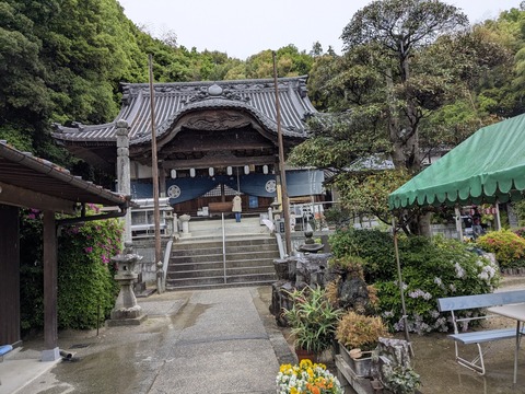 PXL_20250428_040241236