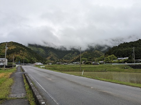 PXL_20240424_004655322